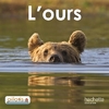 PILOTIS CP ALBUM 2 L'OURS