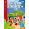 PANIQUE SUR LE NYIRAGONGO NIVEAU 5 - TOUS LECTEURS ! ROMANS