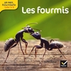 LES FOURMIS - LES DOCS RIBAMBELLE CYCLE 2 ED. 2014