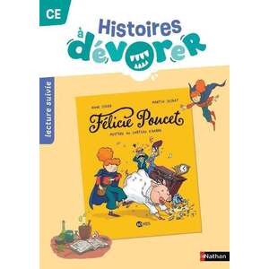 HISTOIRES À DÉVORER CE - FÉLICIE POUCET : MYSTÈRE AU CHÂTEAU D'AMBRE - FICHIER D'EXPLOITATION