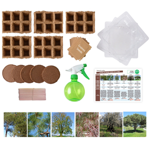 COFFRET MATERIEL ET GRAINES LES ARBRES DE LA FORET