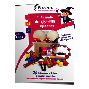 MALLE DES APPRENTIS MUSICIENS - 25 INSTRUMENTS + 1 LIVRET PEDAGOGIQUE + 1 INTERFACE NUMERIQUE