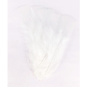 PLUMES BLANCHES 25G