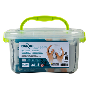 DARWI CLASSIC 4 PAINS 1KG PATE AUTO DURCISSANTE
