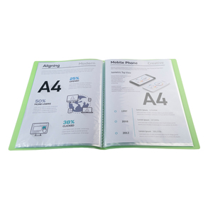 CHROMALINE PROTEGE-DOCUMENTS VERT 60 VUES